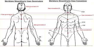 vaso concezione vaso governatore